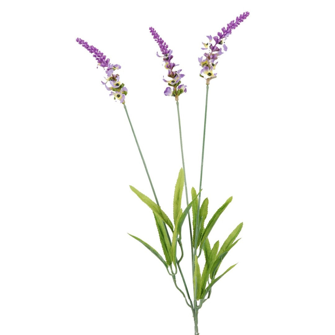 V.LAVANDAS X3 LILA 62cm