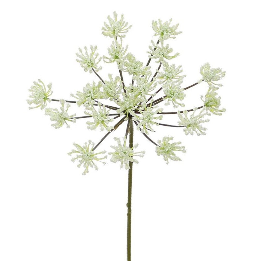 RELLENO REINA ANA CREMA 30cm