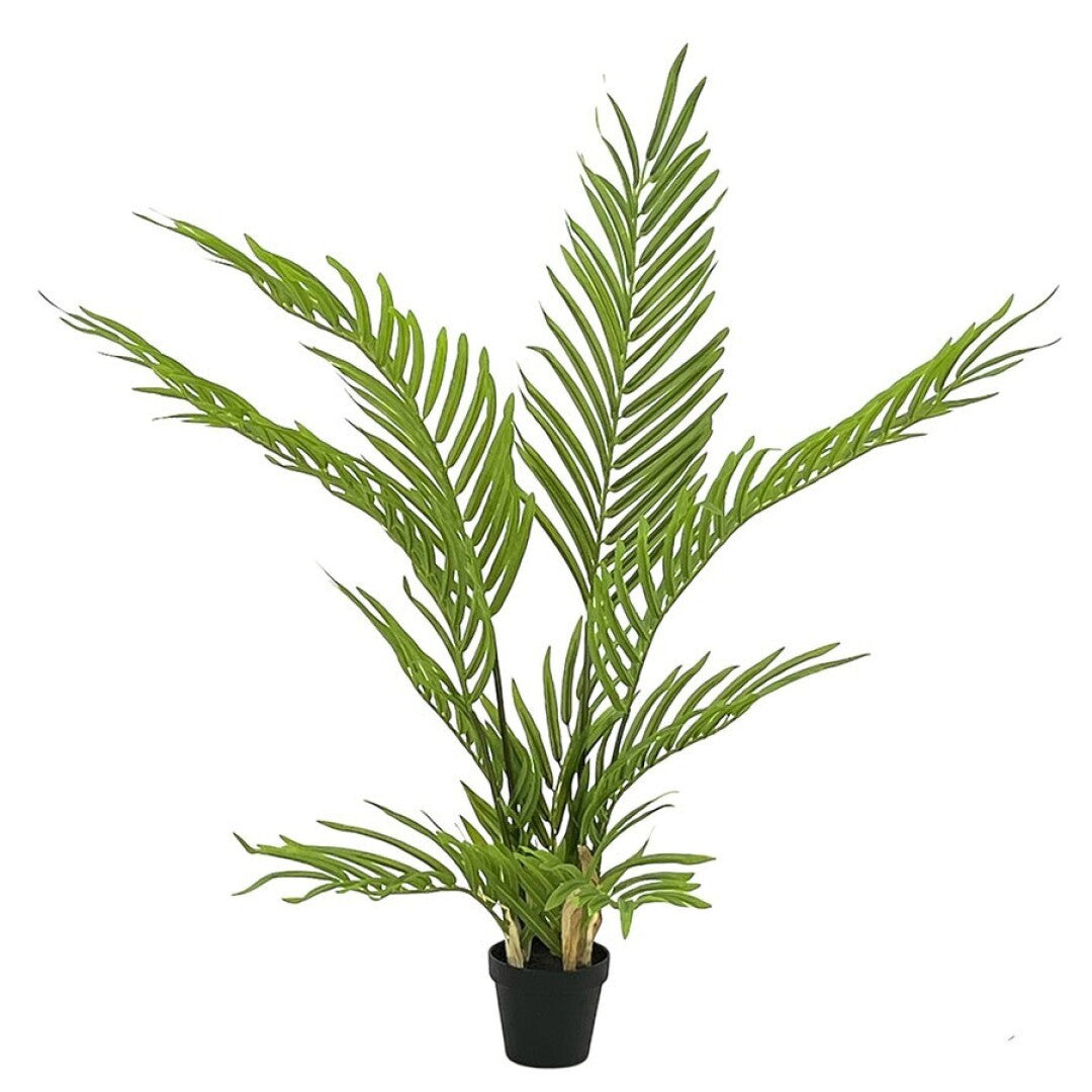 PALMERA X9 66 cm