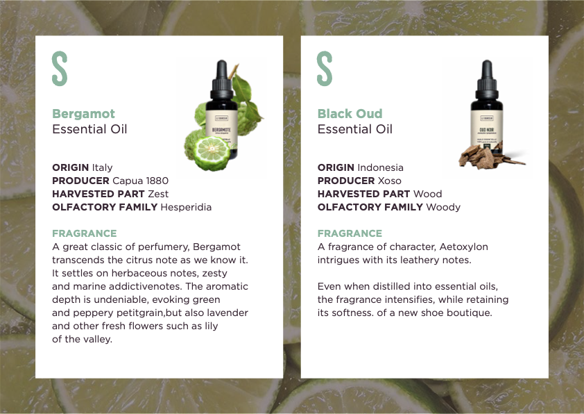Bergamot Essential Oil 5ml