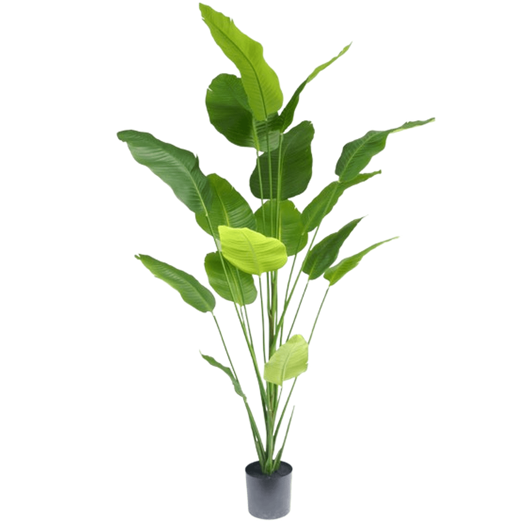 Kunstplant Strelitzia 210 cm real touch