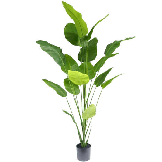 Kunstplant Strelitzia 210 cm real touch