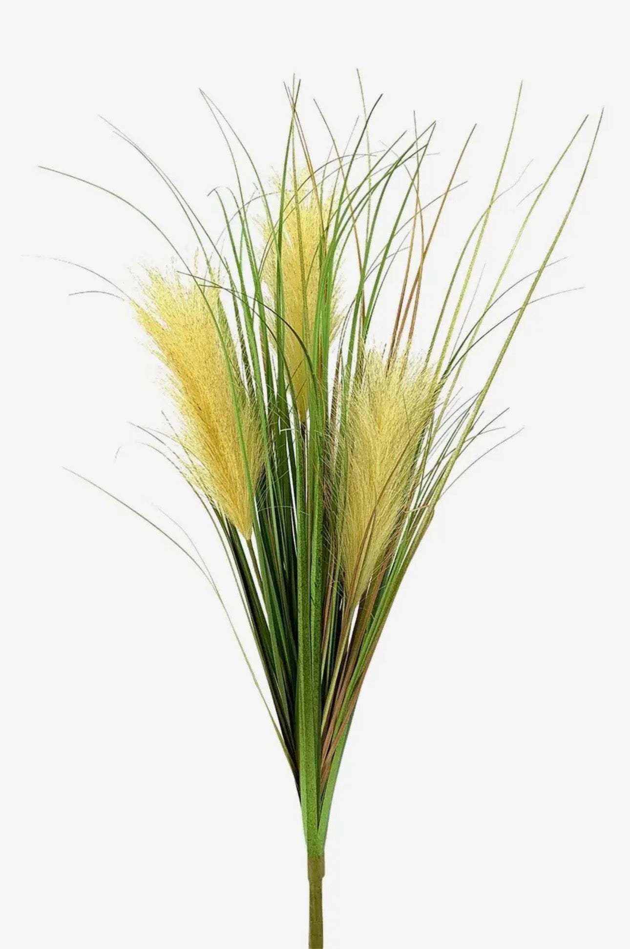 RAM.GRASS PLUMEROX3 AMARI. 62cm