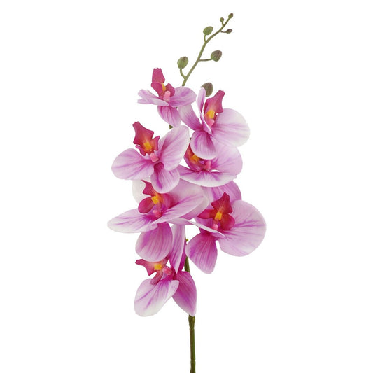 ORQUIDEA X7 LILA 86cm