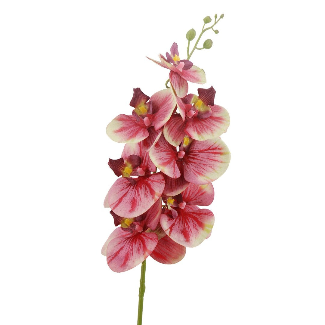 ORQUIDEA X7 ROJO 86cm