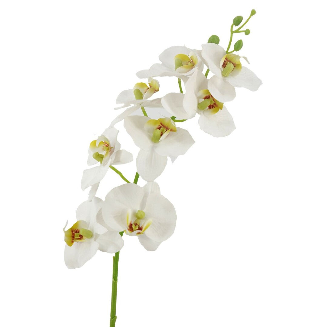 ORQUIDEAX8 T.NAT.CREMA 80cm