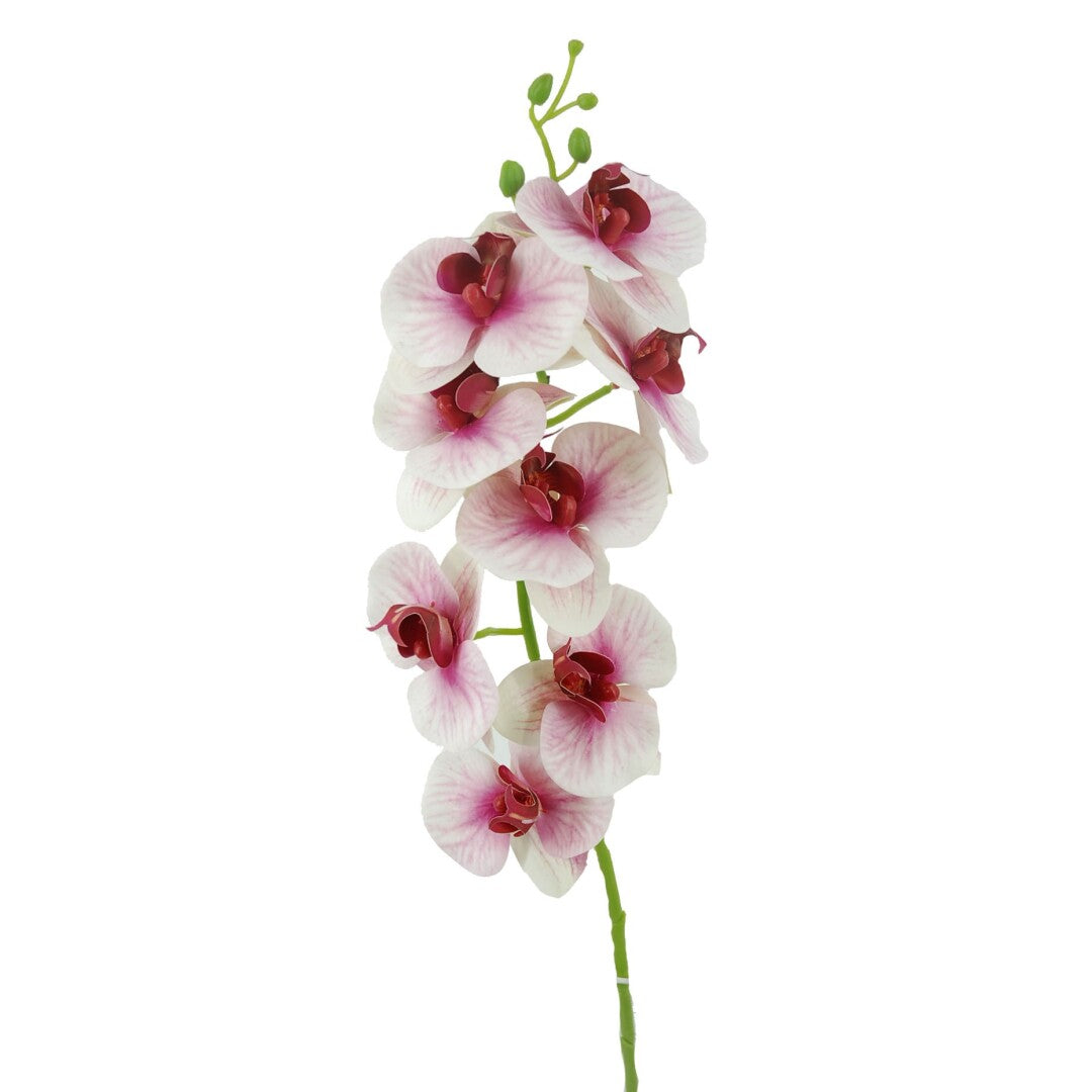 ORQUIDEAX8 T.NAT.ROSA 80cm