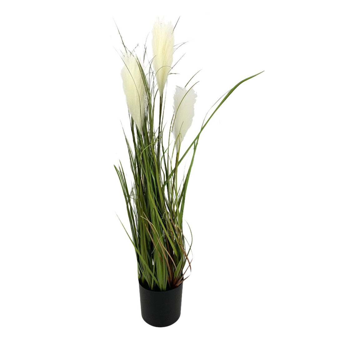 PL.PLUMERO X3 CREMA 80cm