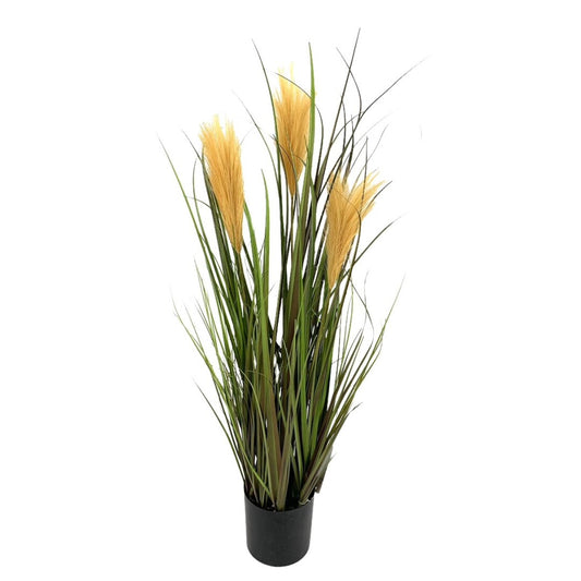 PL.PLUMERO X3 MARRON 80cm