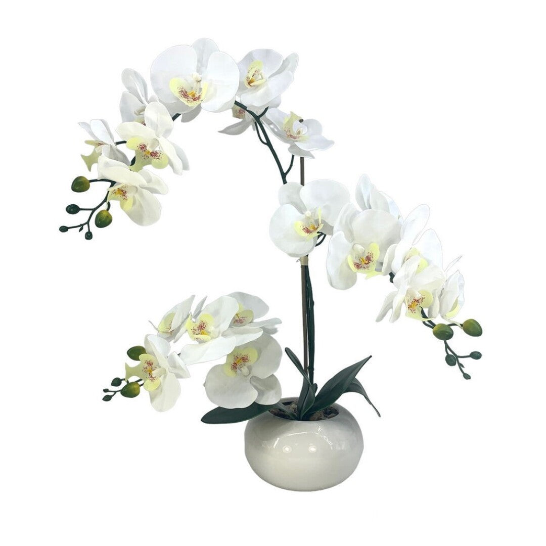 CENT.ORQUIDEA TACT NAT. CREMA 80cm
