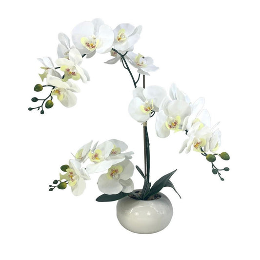 CENT.ORQUIDEA TACT NAT. CREMA 80cm