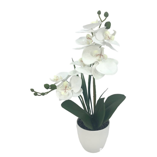 CENT.ORQUIDEA TACT NAT. CREMA 40cm