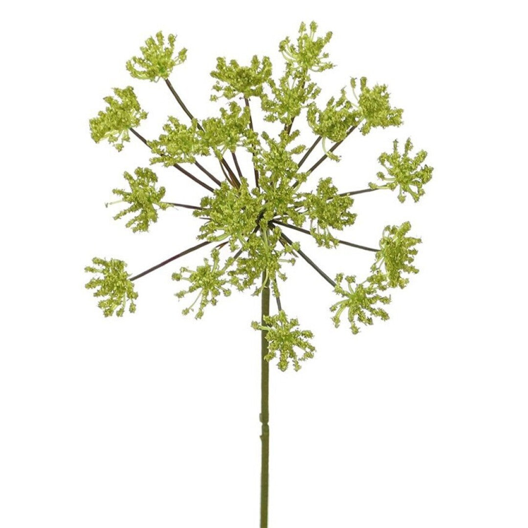 RELLENO REINA ANA VERDE 30cm