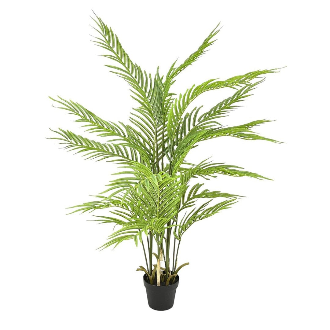 PALMERA X18 133 cm
