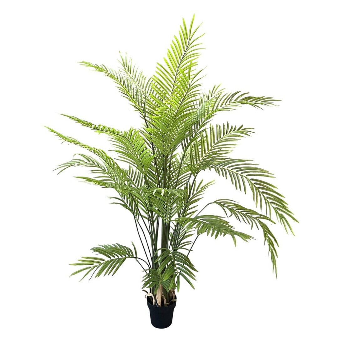 PALMERA X44 200 cm