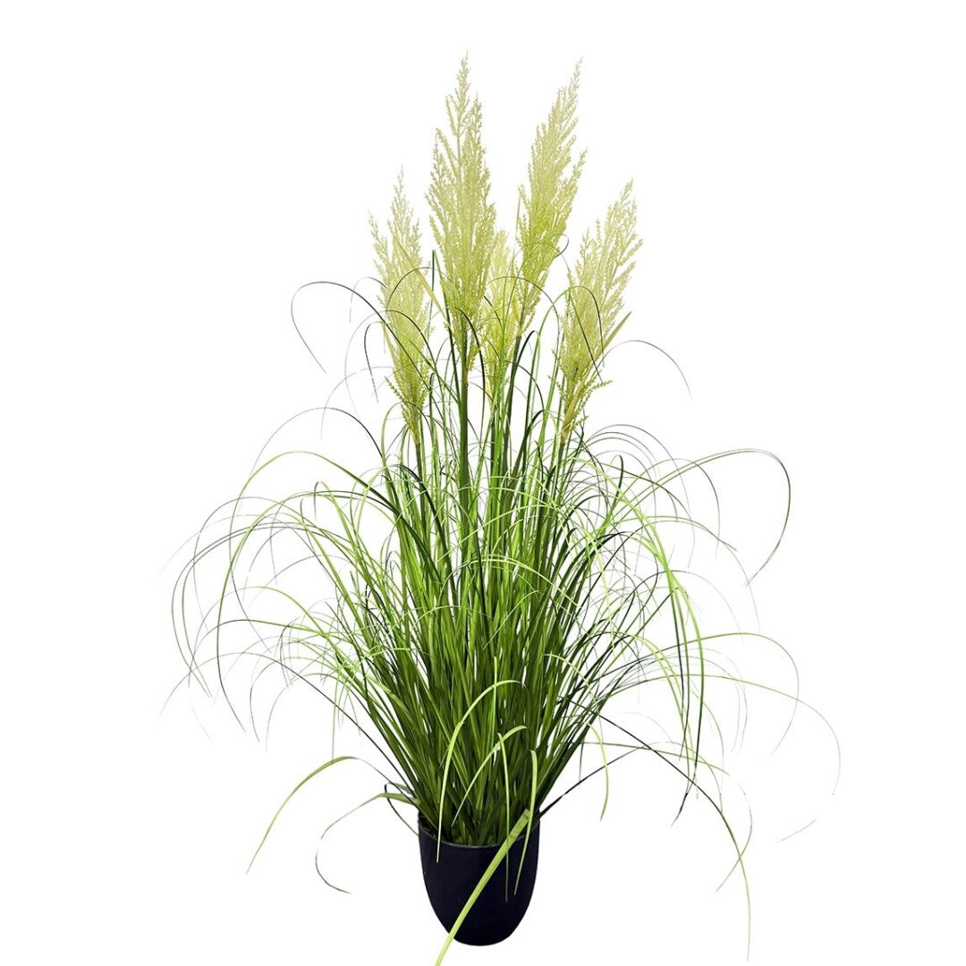 PLANTA GRASS/PLUMERO 122cm