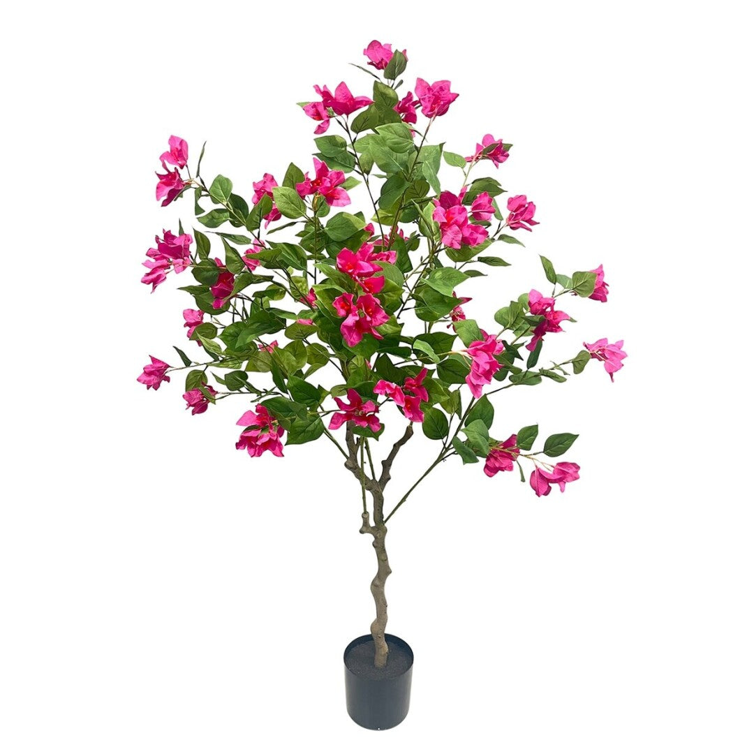 ARBOL BUGANVILLA 140cm