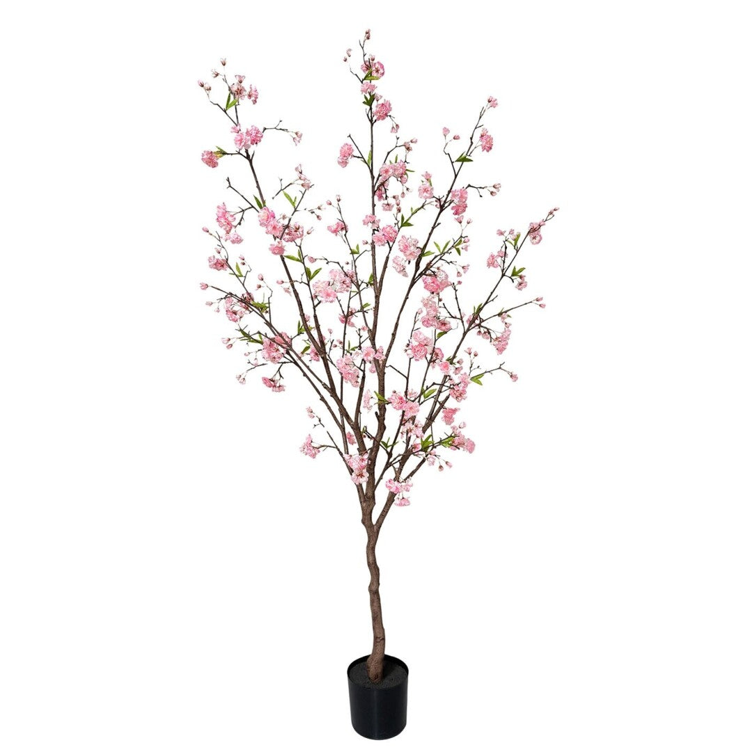 ARBOL ALMENDRO ROSA 190cm