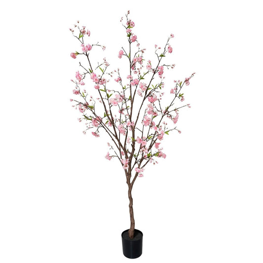 ARBOL ALMENDRO ROSA 190cm