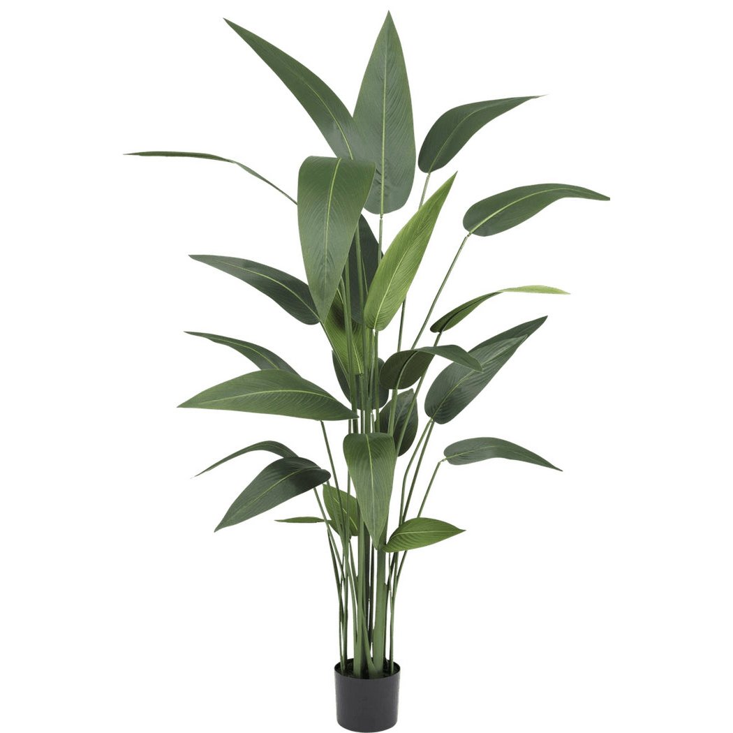 Kunstplant Heliconia 160 cm