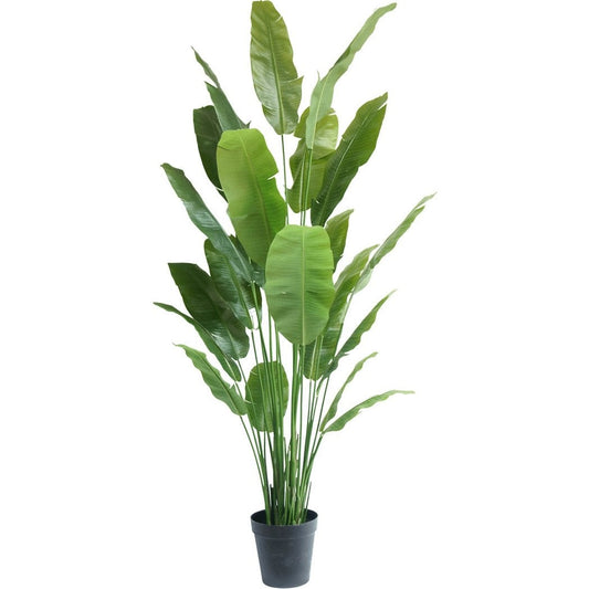 Kunstplant Strelitzia Nicolai Deluxe 235 cm