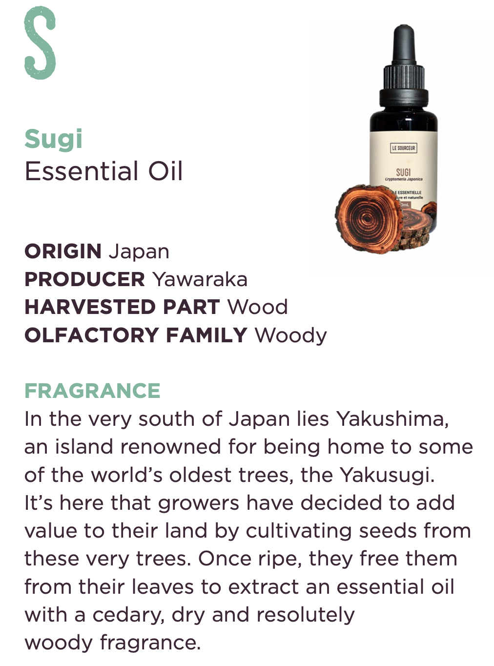 Sugi Essential Oil 10ml