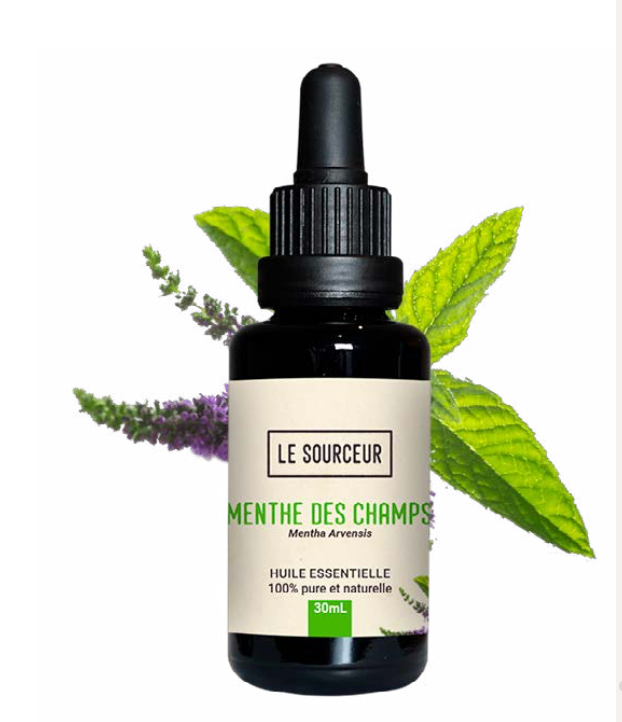 Corn Mint Essential Oil 10ml