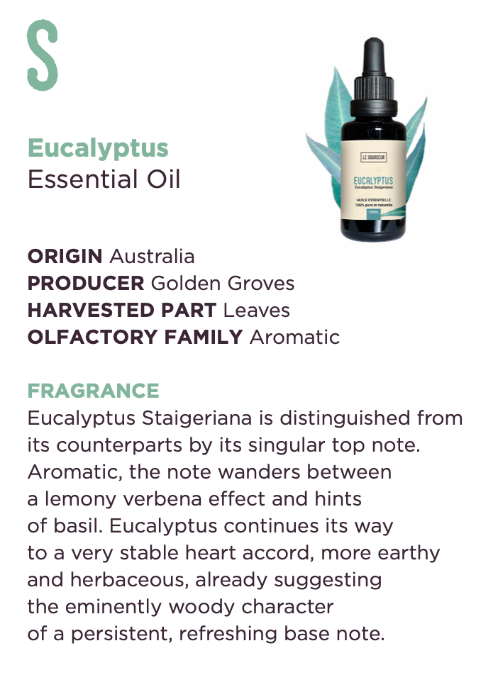 Eucalyptus Staigeriana Essential Oil 10ml