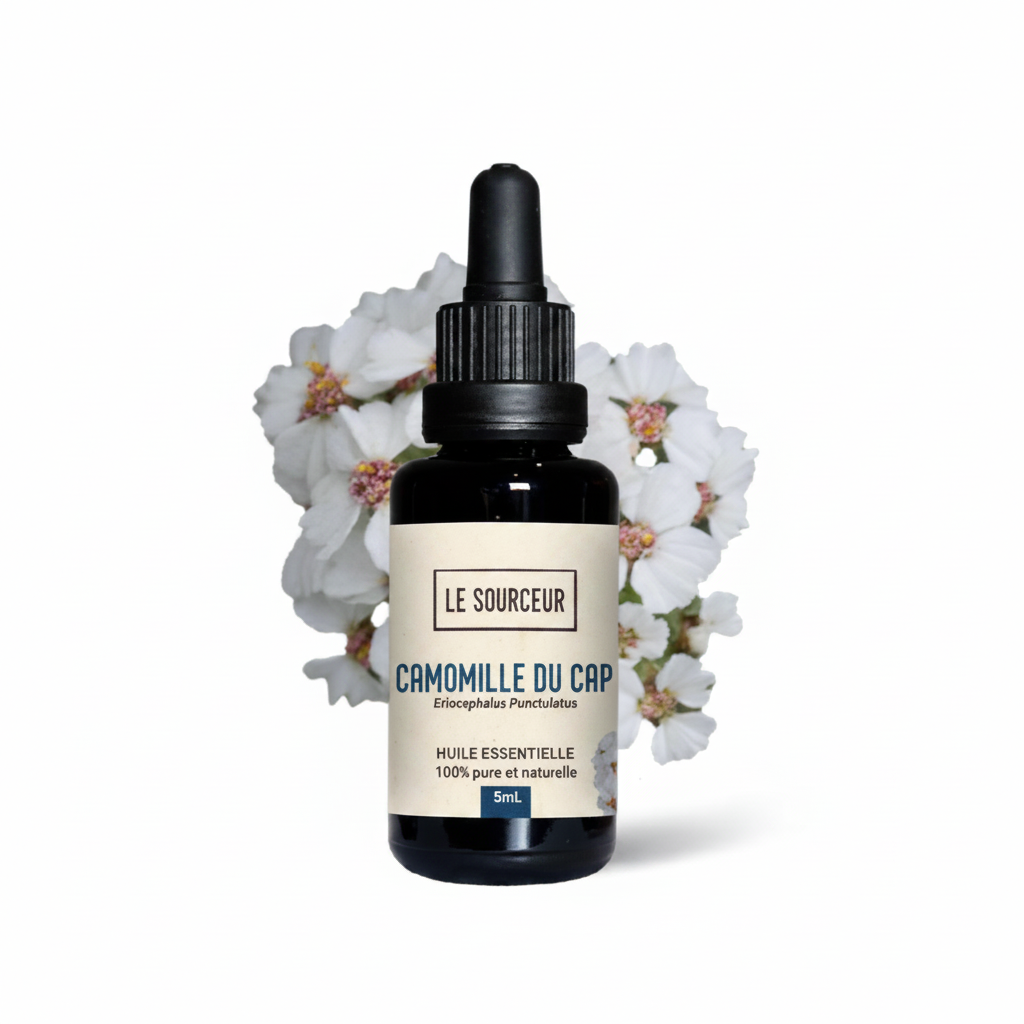 Cape Chamomile Essential Oil 5ml