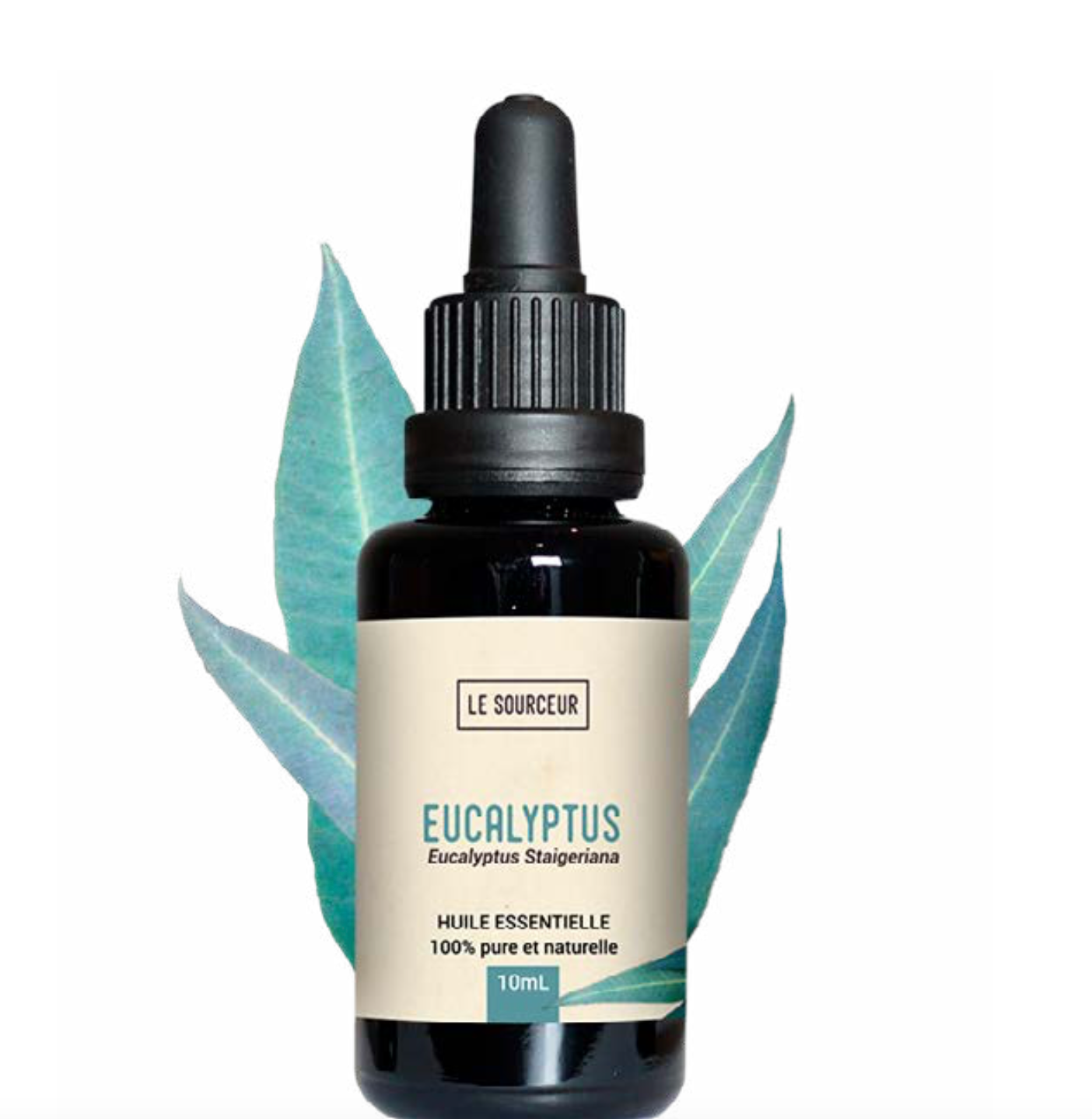 Eucalyptus Staigeriana Essential Oil 10ml