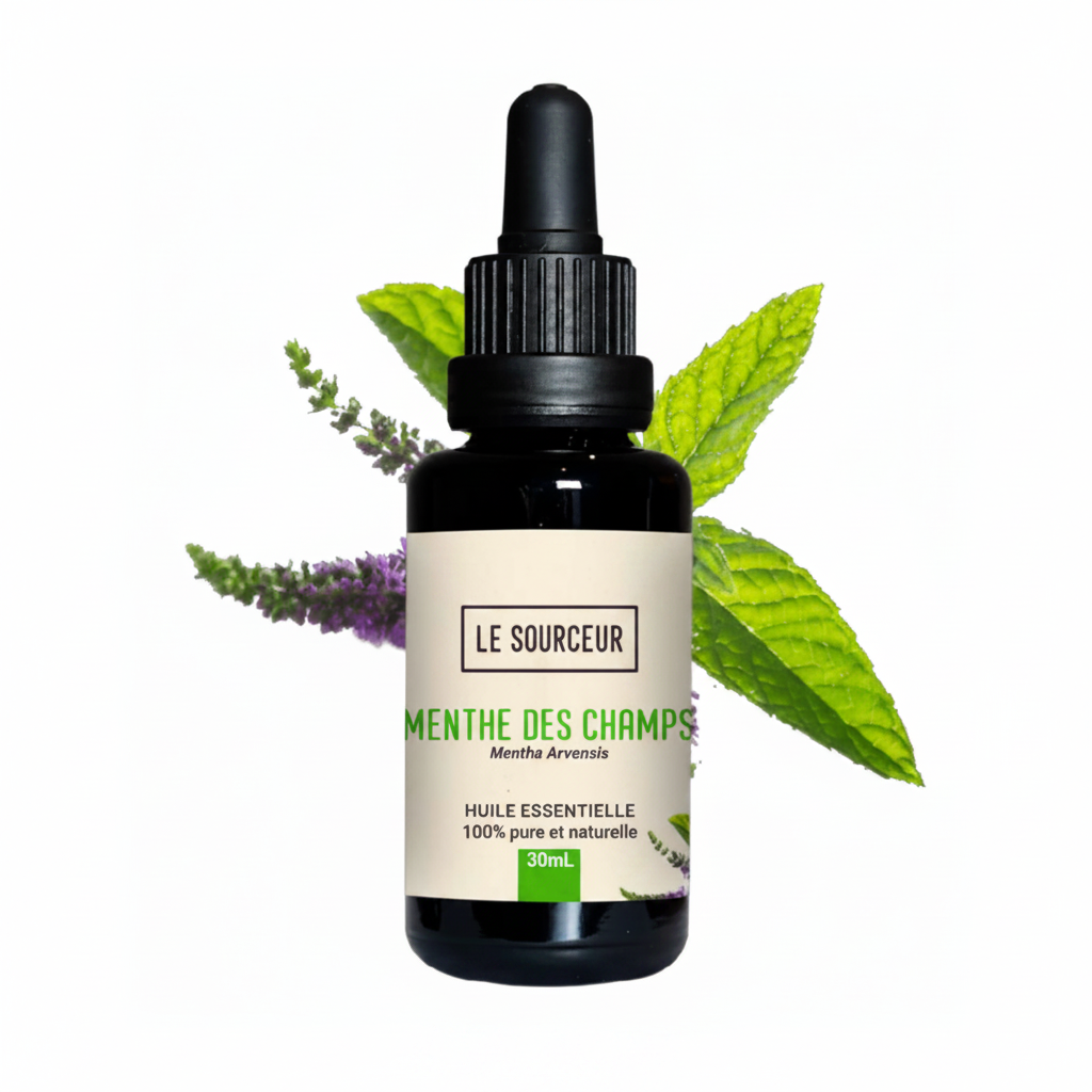 Corn Mint Essential Oil 10ml