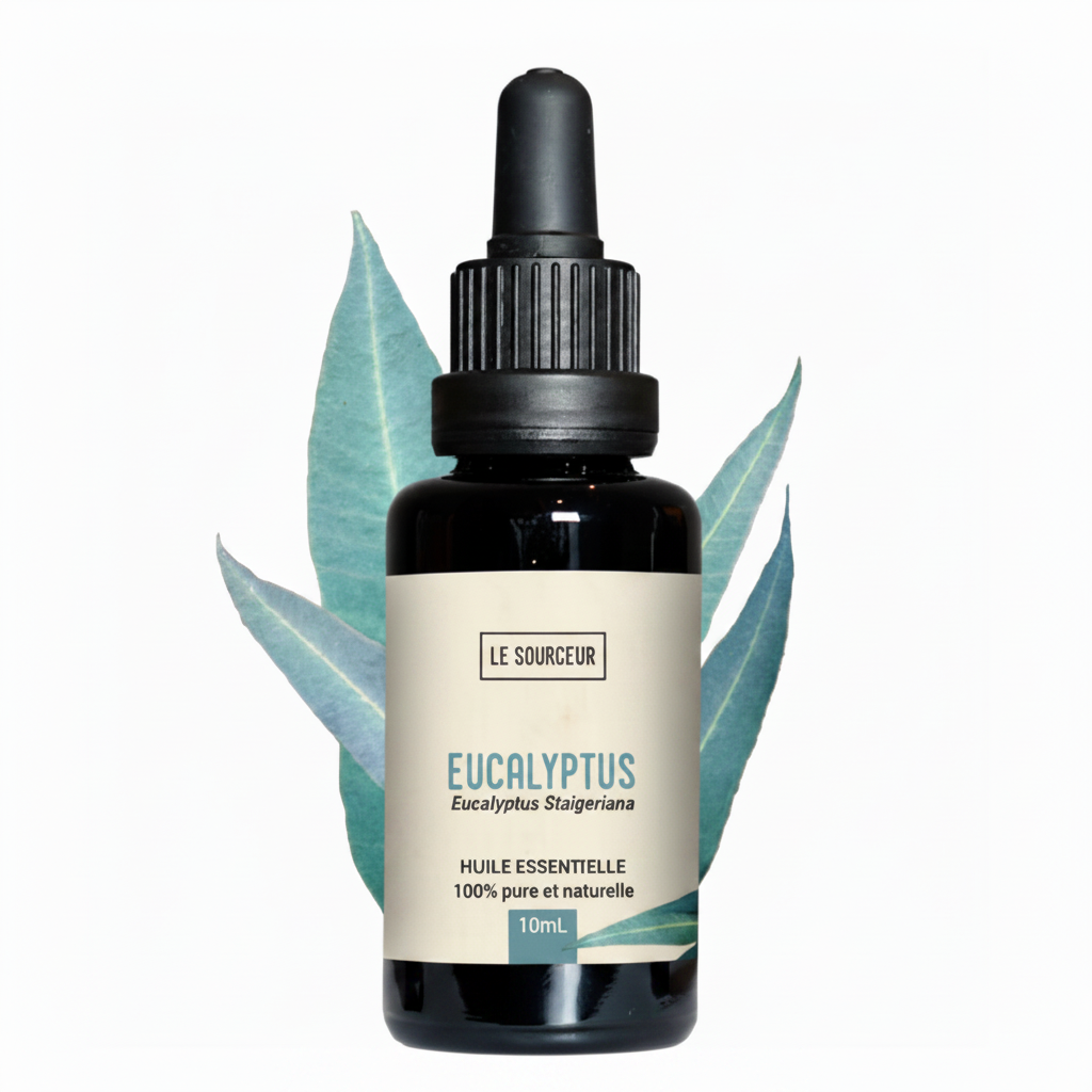 Eucalyptus Staigeriana Essential Oil 10ml